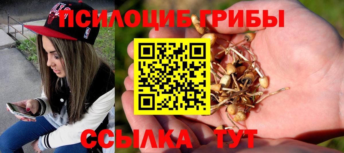 Псилоцибиновые грибы GOLDEN TEACHER  Вход с VPN  Южноуральск  Галлюциногенные грибы Psilocybe 
